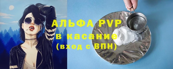 круглые Белокуриха