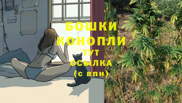 PSILOCYBIN Богданович